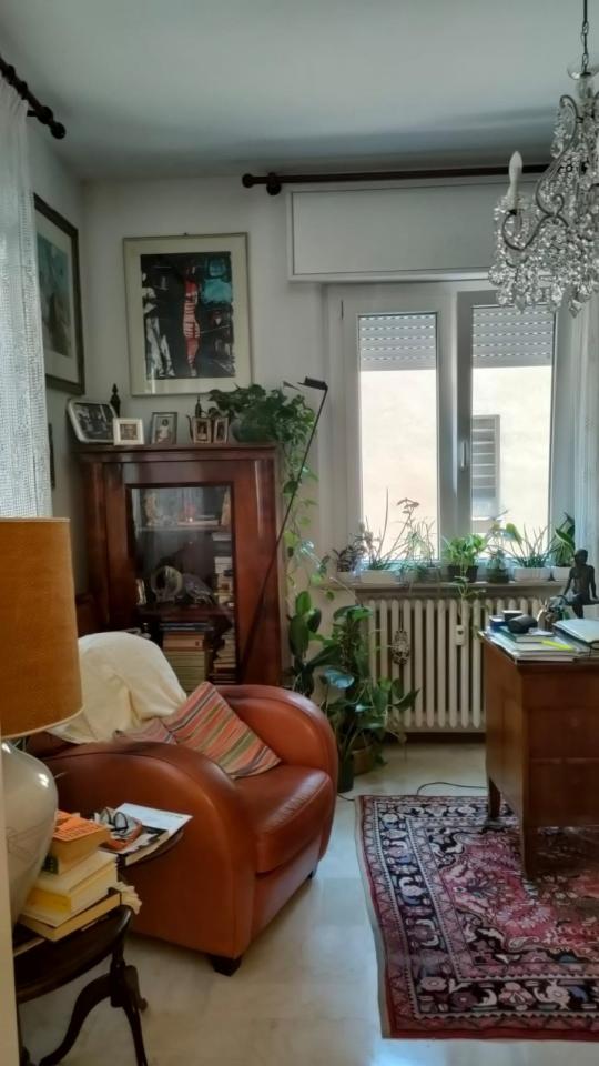 immagine annuncio 3 di 14