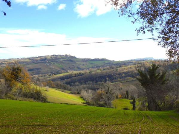 Magazzino in Contrada Cerreto, San Ginesio, {3} - Foto 1