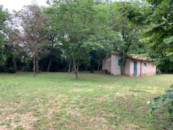 immagine annuncio 11 di 14