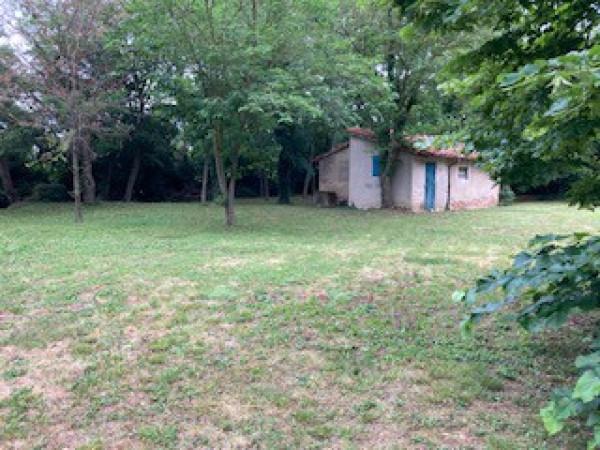 immagine annuncio 12 di 14