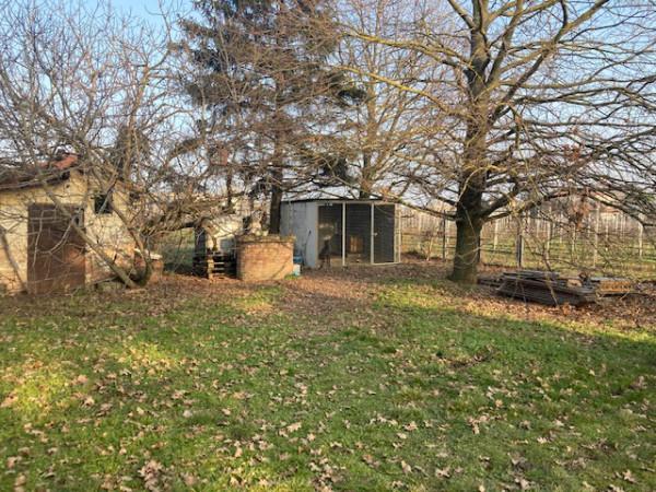 immagine annuncio 2 di 9