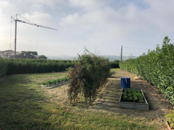 immagine annuncio 4 di 8