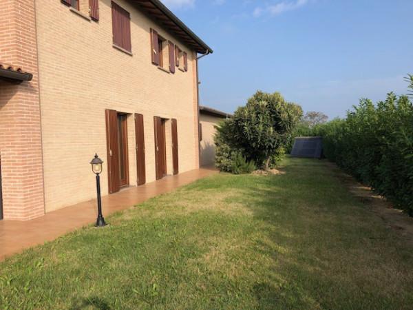 immagine annuncio 7 di 8