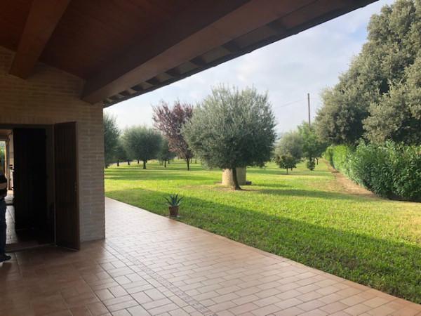 immagine annuncio 5 di 8