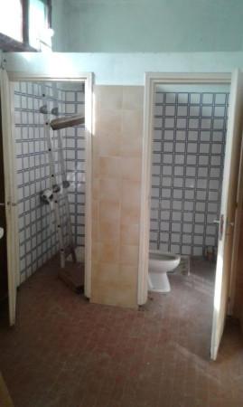 Magazzino in , Riolo Terme, {3} - Foto 2