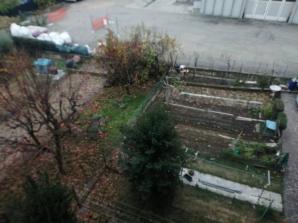 immagine annuncio 6 di 12