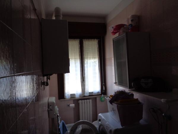 immagine annuncio 5 di 11