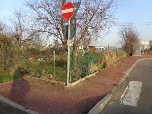 immagine annuncio 12 di 13