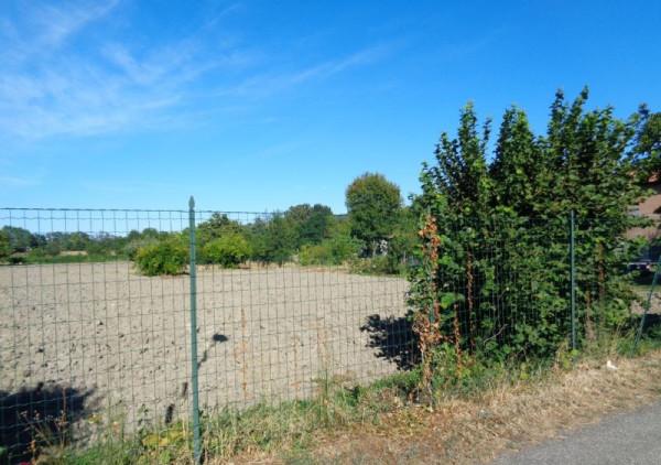 immagine annuncio 3 di 4