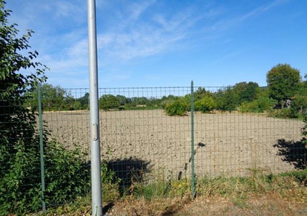 immagine annuncio 2 di 4