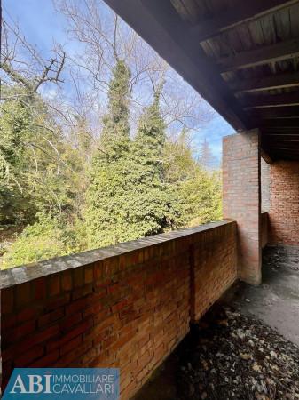 immagine annuncio 6 di 11