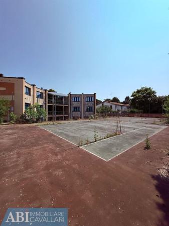 immagine annuncio 6 di 13