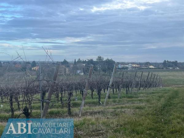 immagine annuncio 4 di 9