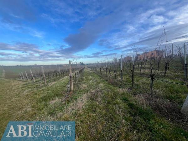 immagine annuncio 6 di 9