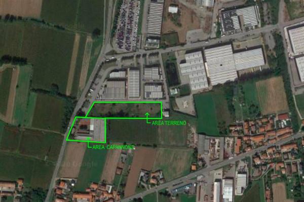 insertion image
