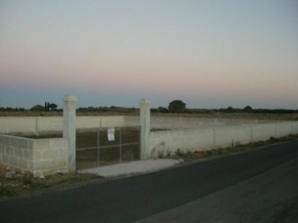 insertion image