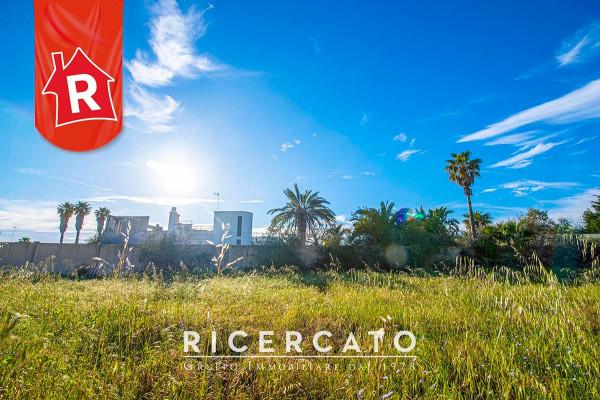 immagine annuncio 7 di 12