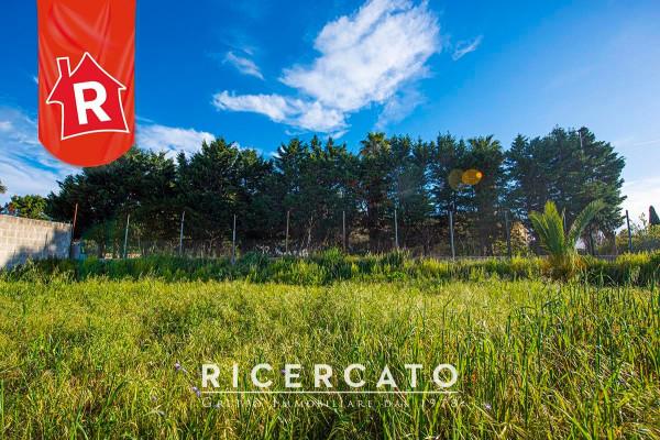 immagine annuncio 11 di 12