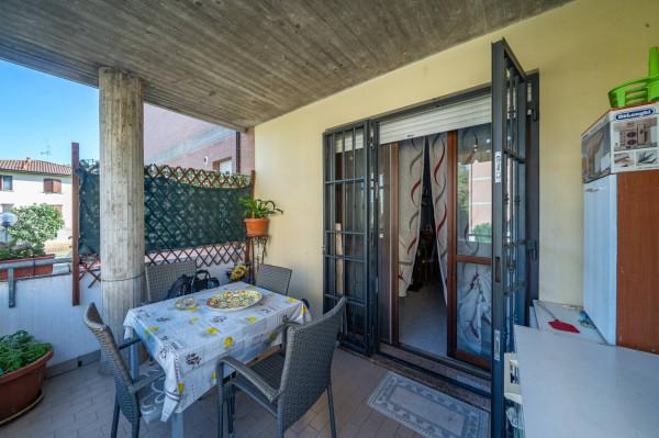 immagine annuncio 5 di 12