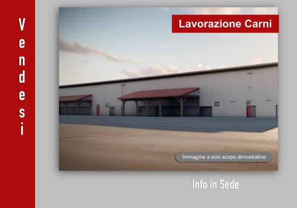 Macelleria in Via Sebastiano Caboto 14, Pordenone, {3} - Foto 1