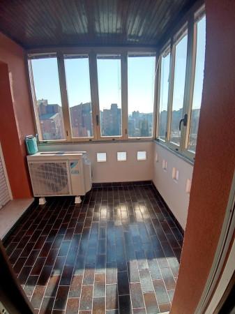 immagine annuncio 7 di 14