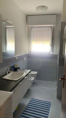 immagine annuncio 7 di 14