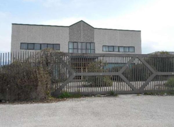 Capannone in Pezza Snc, Dragoni, {3} - Foto 2