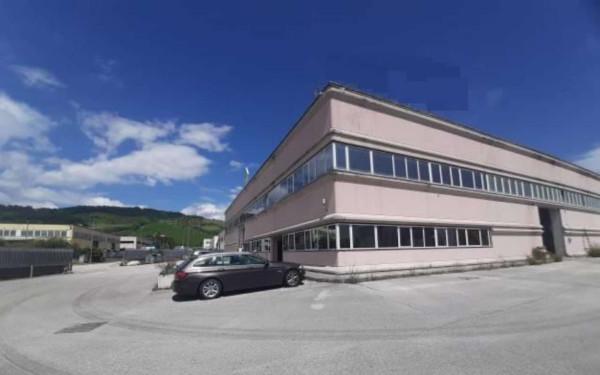 Capannone in Loc. Pozzetto, Via dell'Industria 5, Castelplanio, {3} - Foto 2
