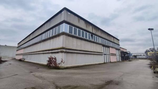 Capannone in Via dell'Industria 5-7, Castelplanio, {3} - Foto 2