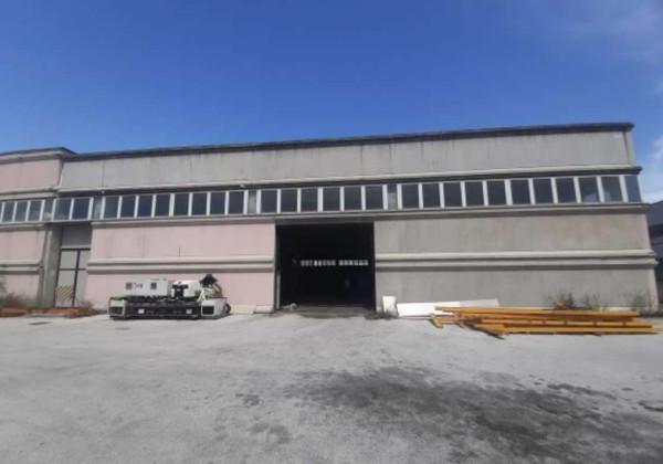 Capannone in Via dell'Industria 5-7, Castelplanio, {3} - Foto 1