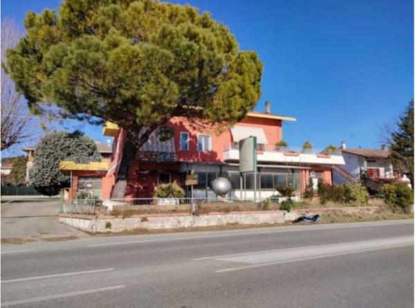 Negozio in Via Romagna 249, Gabicce Mare, {3} - Foto 1