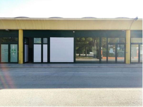 Negozio in Via Piane di Potenza Snc, Montecassiano, {3} - Foto 1