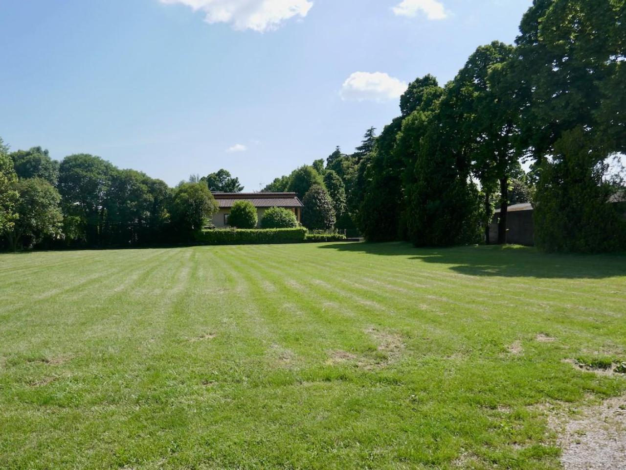 immagine annuncio 3 di 6