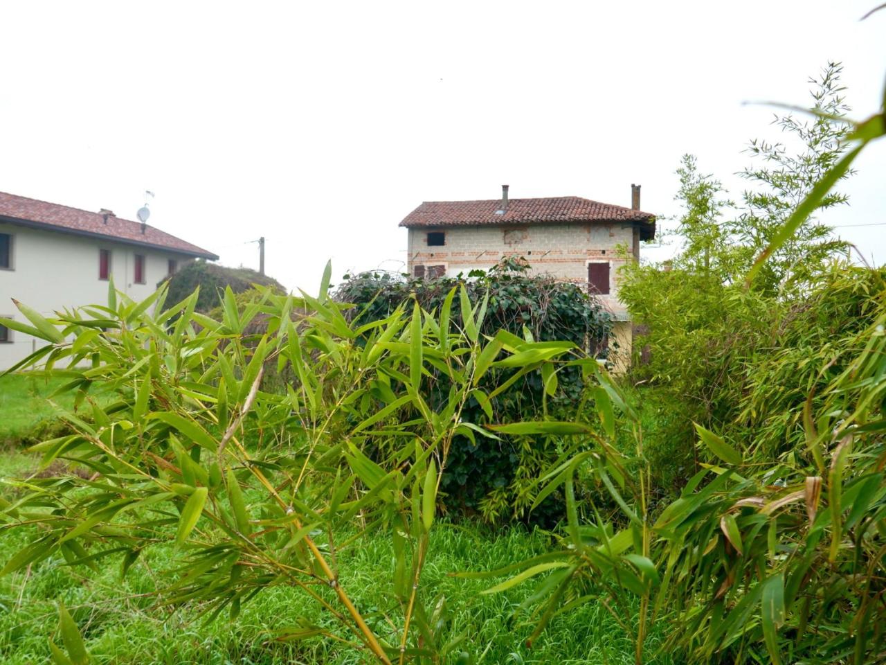 immagine annuncio 11 di 12