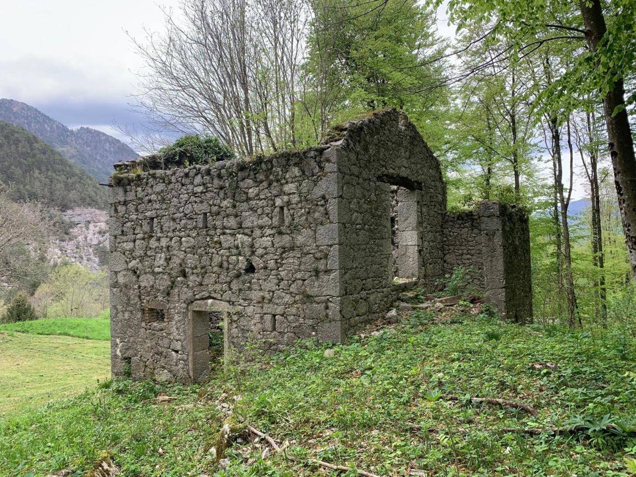 immagine annuncio 1 di 7