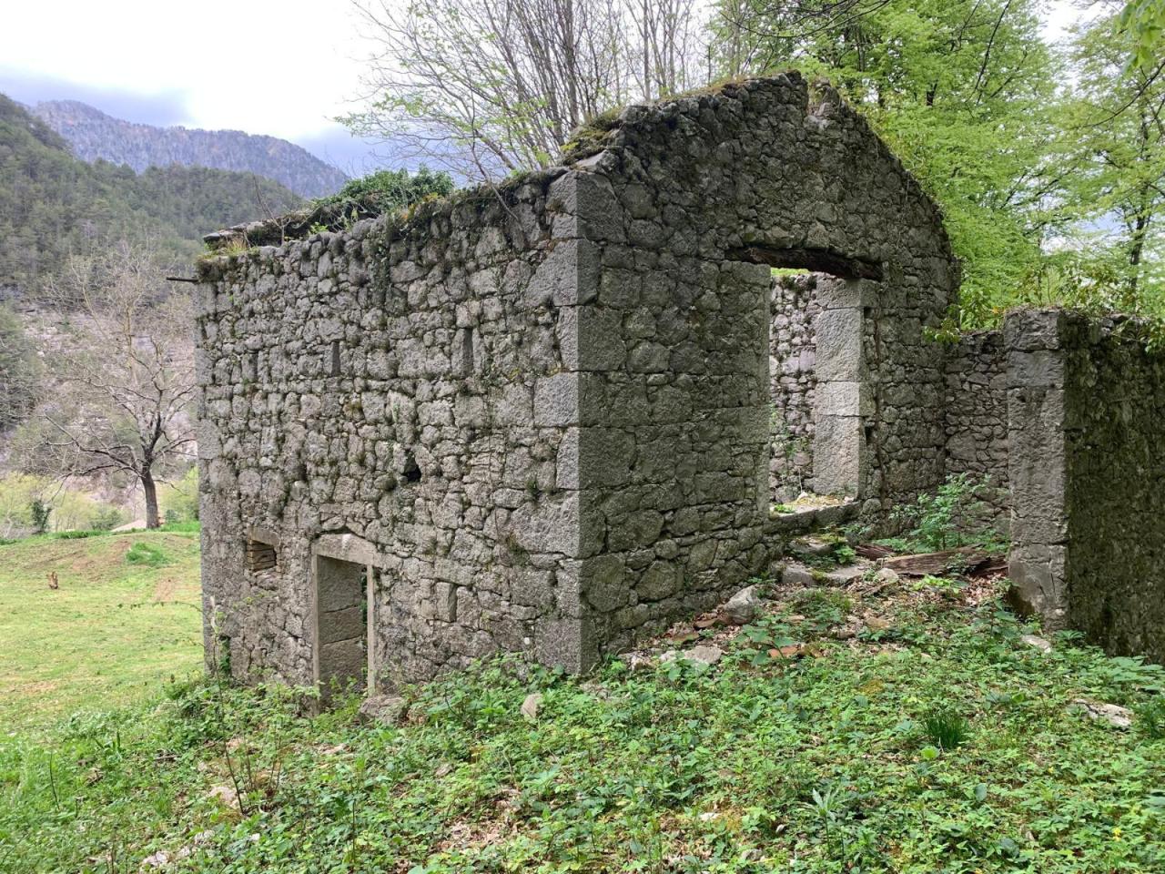 immagine annuncio 2 di 7