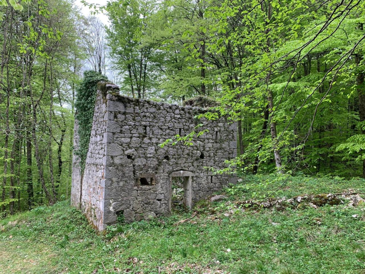 immagine annuncio 3 di 7