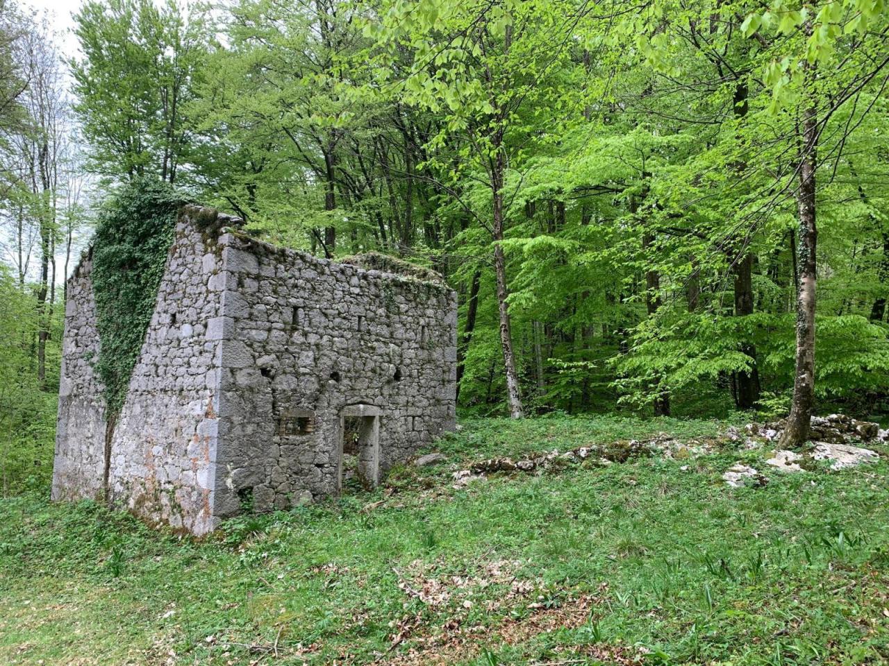 immagine annuncio 6 di 7