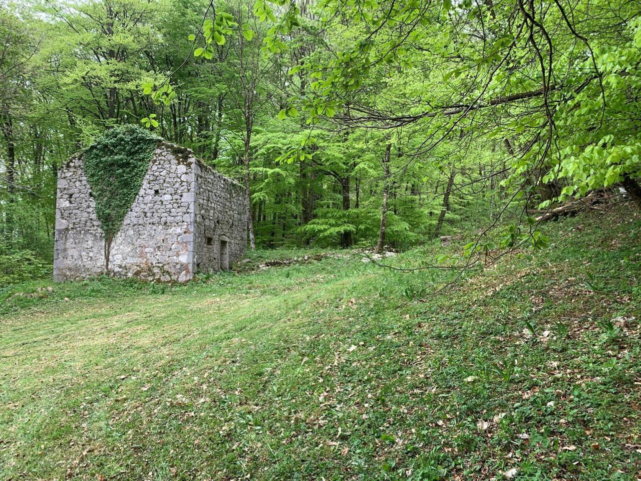 immagine annuncio 4 di 7