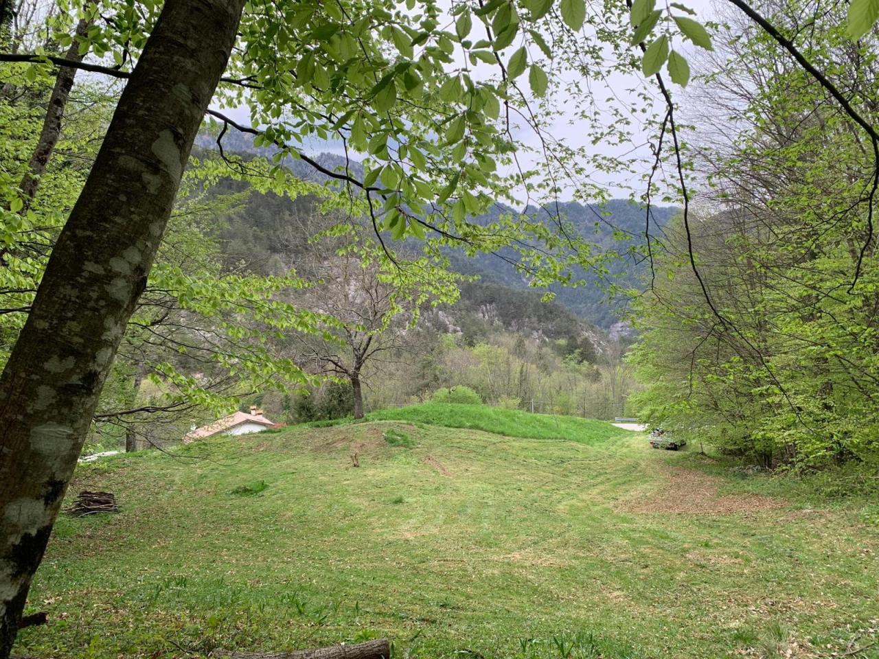 immagine annuncio 5 di 7