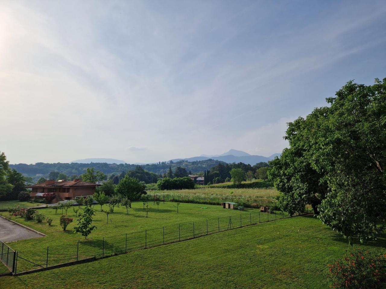 immagine annuncio 4 di 11