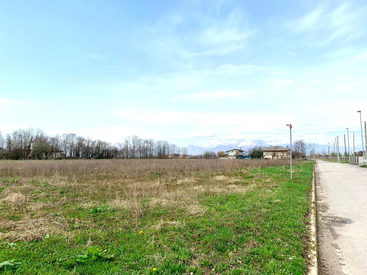 immagine annuncio 3 di 8