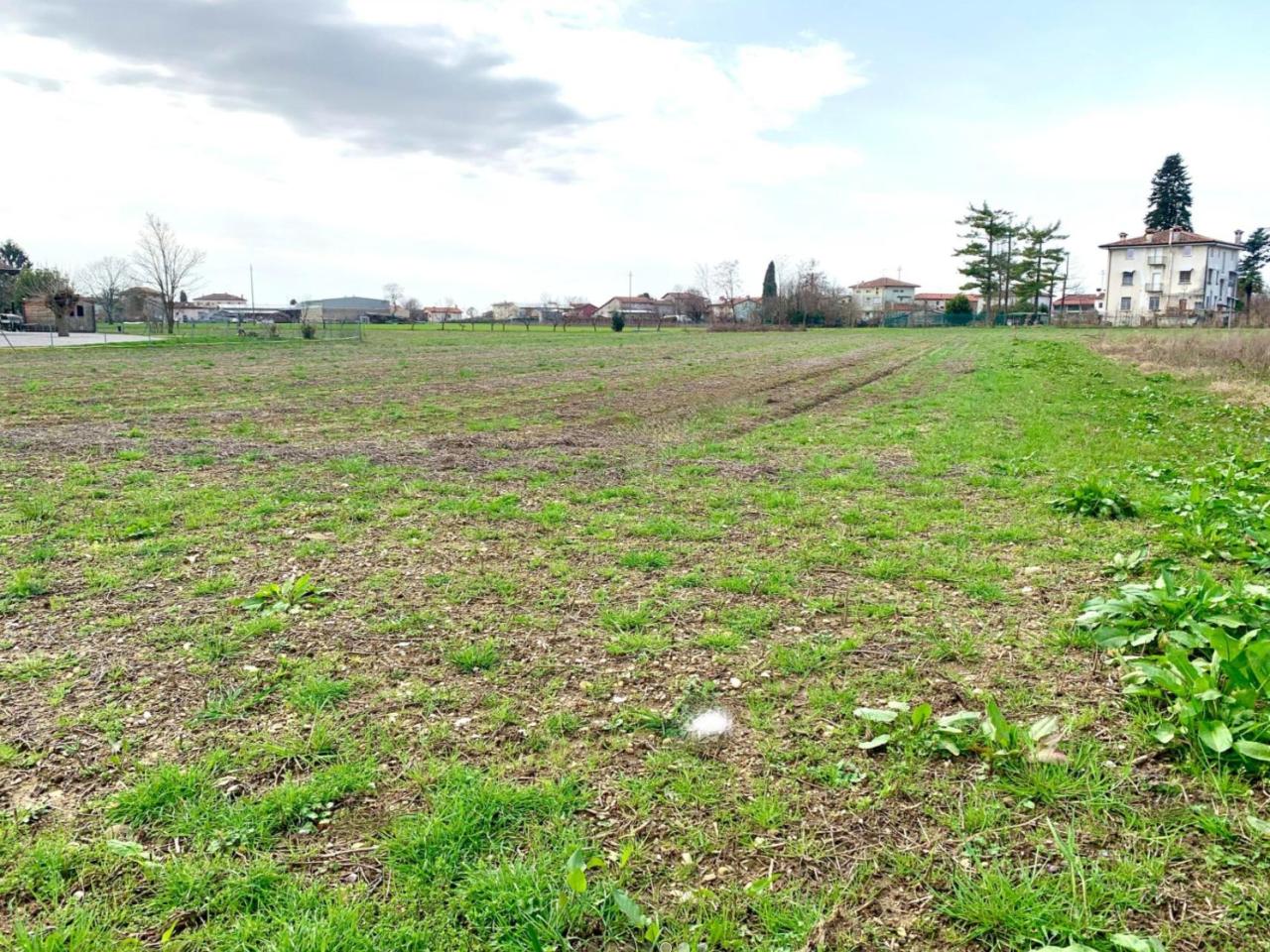 immagine annuncio 4 di 8