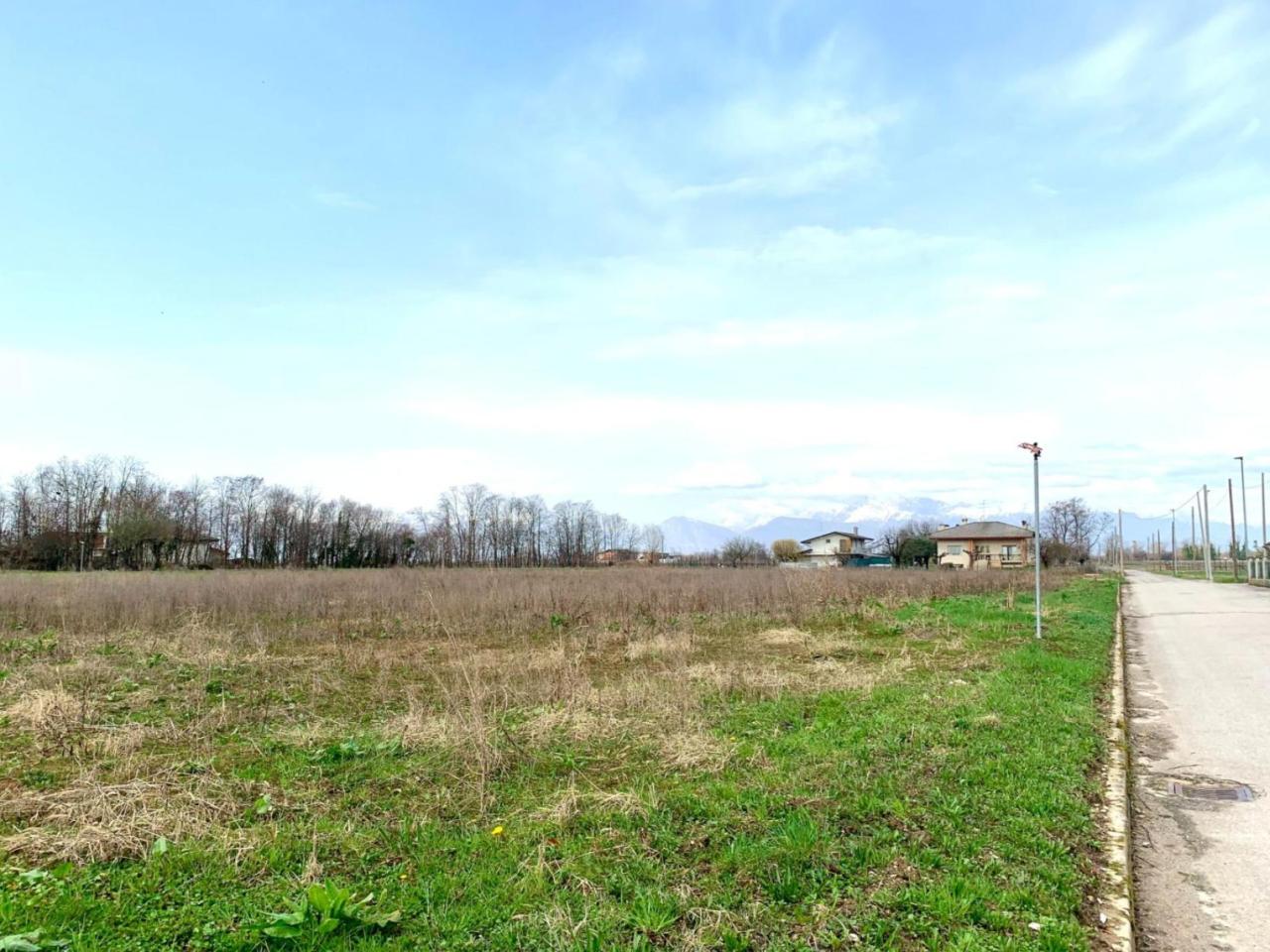 immagine annuncio 5 di 8