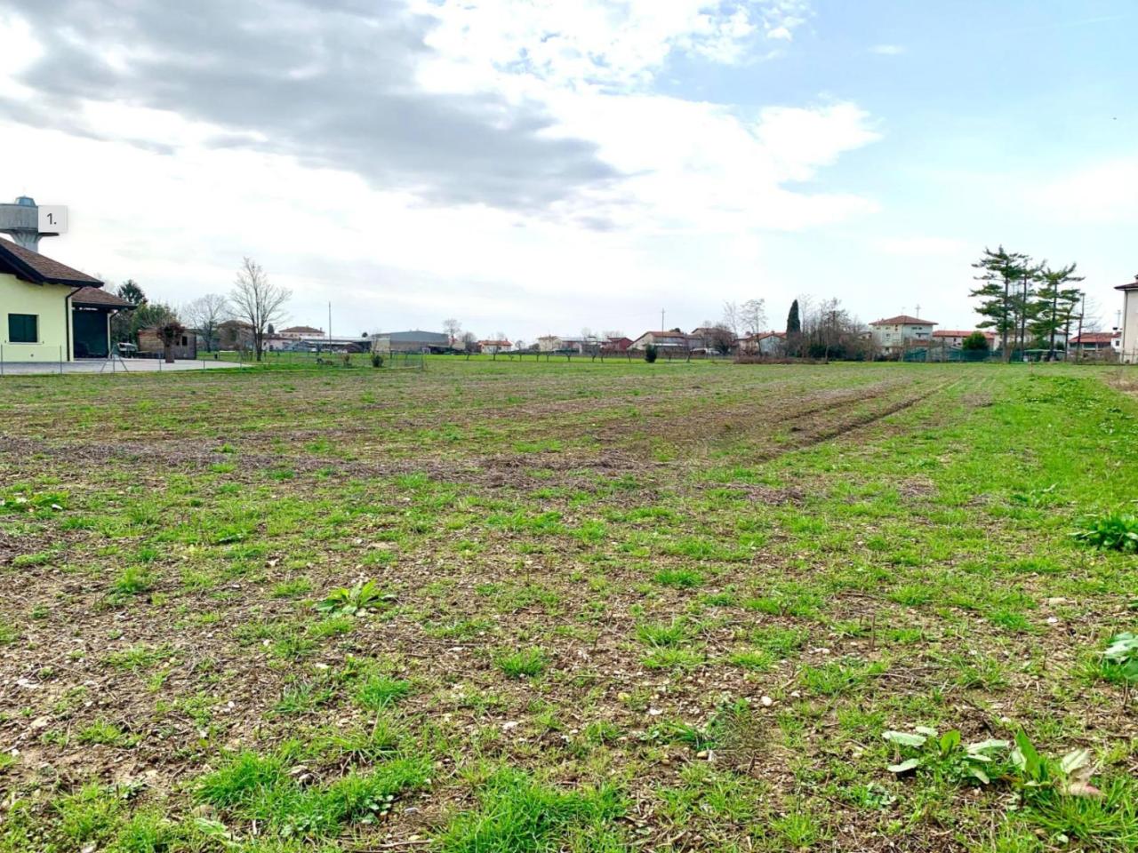 immagine annuncio 6 di 8