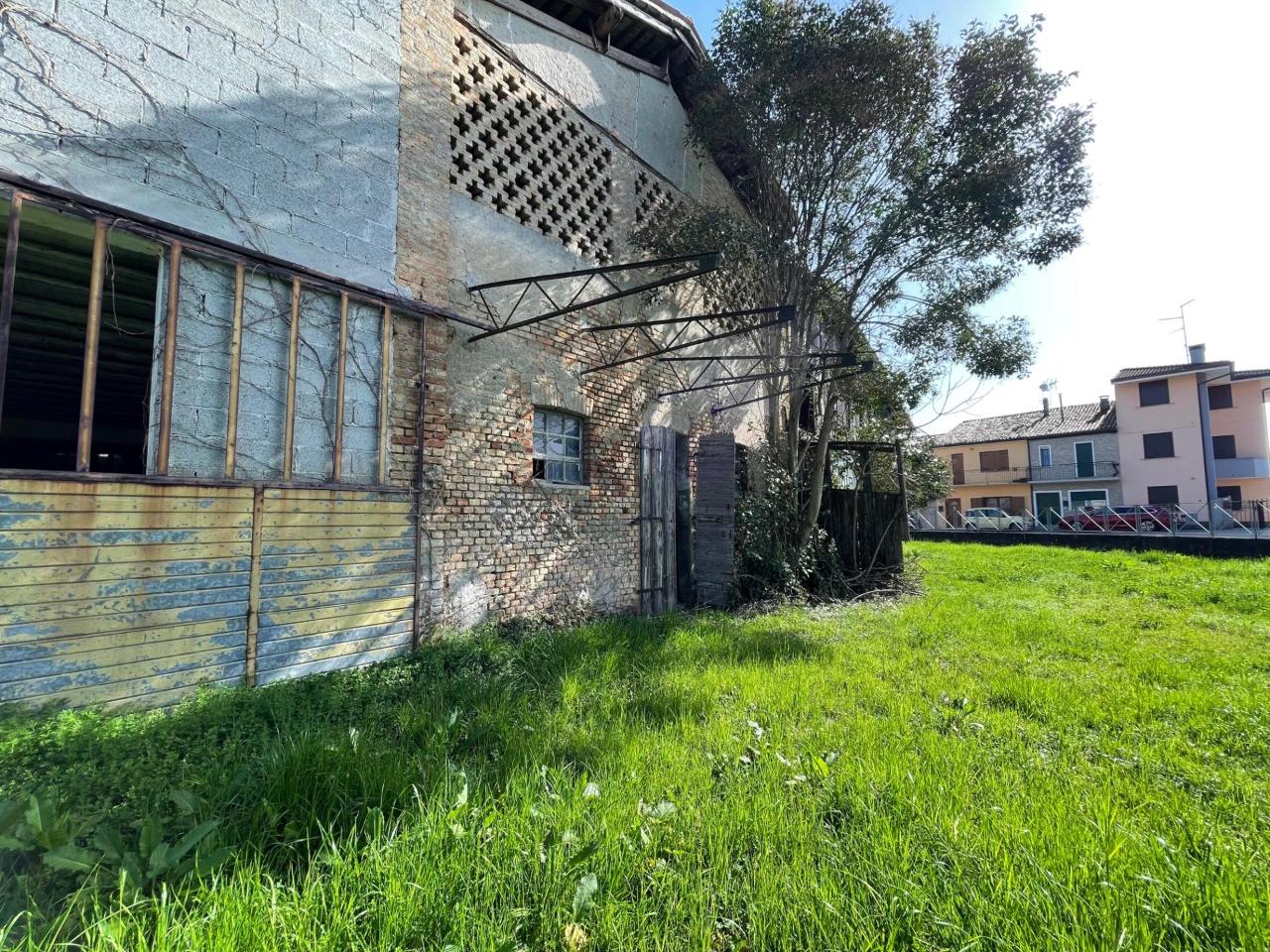 immagine annuncio 4 di 8