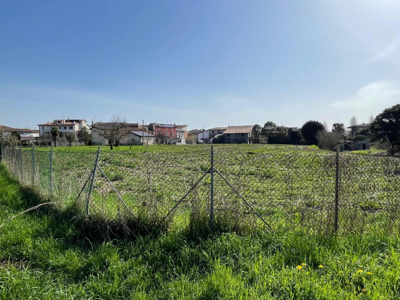 immagine annuncio 5 di 8