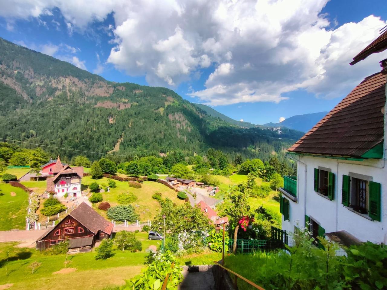 immagine annuncio 13 di 15