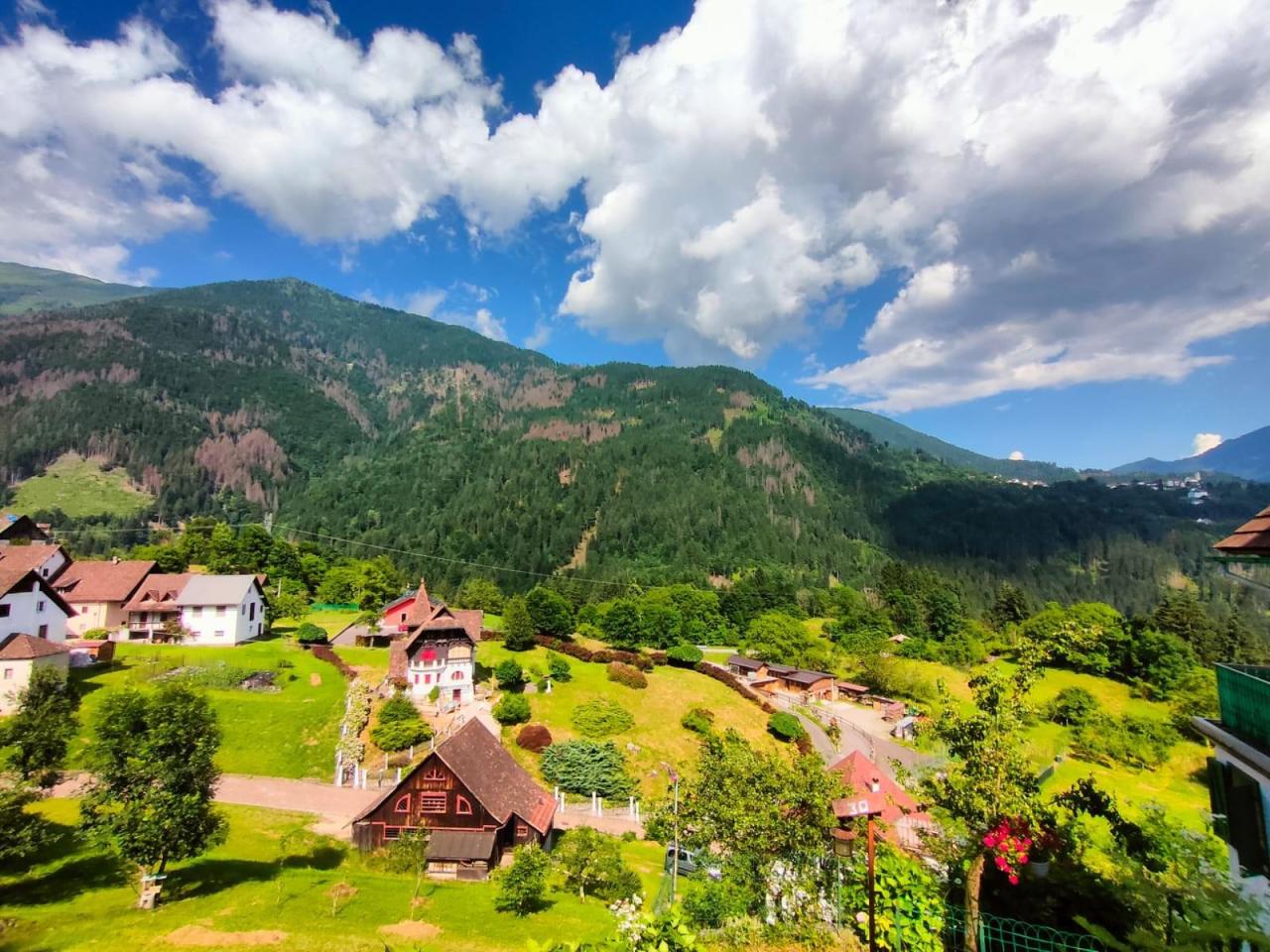 immagine annuncio 12 di 15