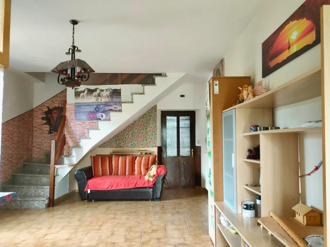 immagine annuncio 6 di 14